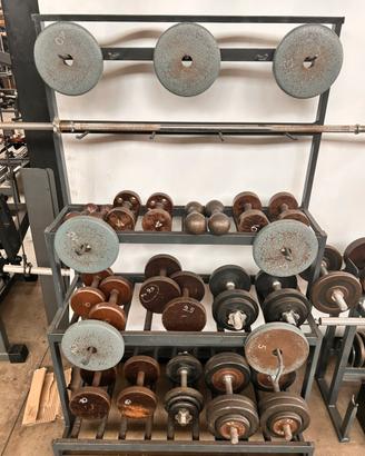 Porta pesi con manubri e dischi