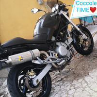 Ducati monster