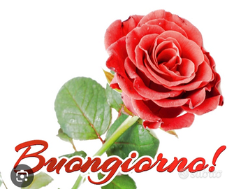 Addetta alle pulizie