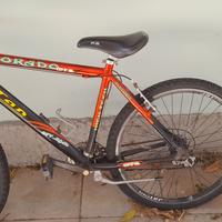 Bicicletta da ragazzo
