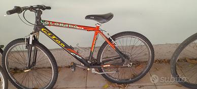 Bicicletta da ragazzo