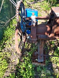 macchina  bergamotto  antichissima 