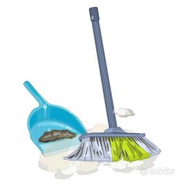 Pulitore serio automunito part o full time