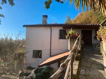 Casa vacanze immersa nel verde a Montano Antilia
