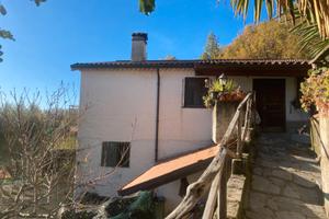 Casa vacanze immersa nel verde a Montano Antilia