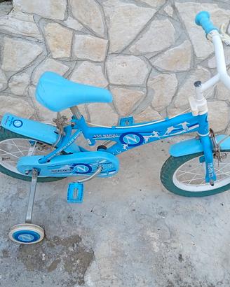 bicicletta 