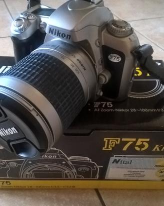 NIKON F75 kit SILVER