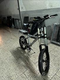 Bici elettrica Ekletta