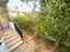Immagine 23
