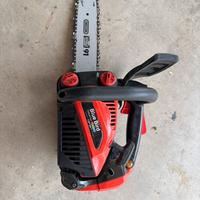 Motosega da potatura