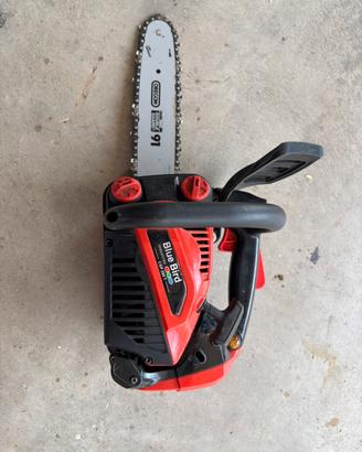 Motosega da potatura