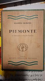 Libro vintage Piemonte di Filippo Burzio