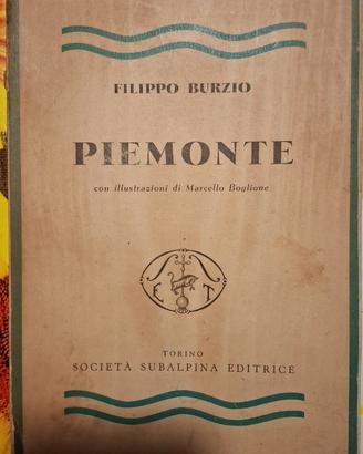 Libro vintage Piemonte di Filippo Burzio