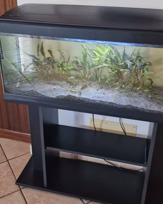 Acquario 100 litri  comprensivo accessori