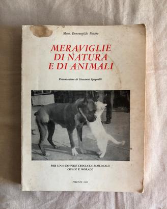 Meraviglie di natura e di animali