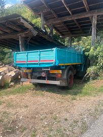 Camion agricolo omn110 euro 6000