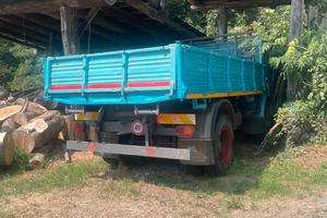 Camion agricolo omn110 euro 6000