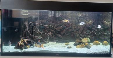 Acquario Juwel Rio 180