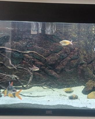 Acquario Juwel Rio 180