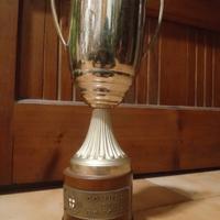 trofeo 🏆 pezzo unico vintage 
