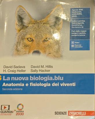 libri