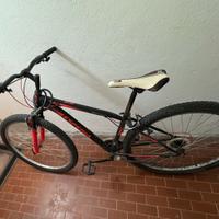 Mountain Bike esperia 29”