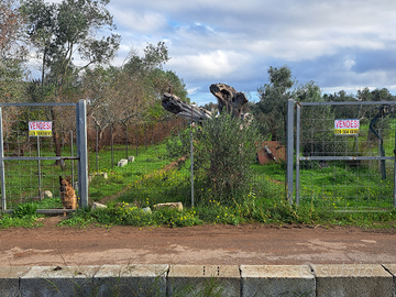 Terreno a SAN CESARIO DI LECCE