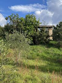 Rustico / Casale di 40 m² con 2 locali a Arlena di