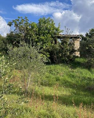 Rustico / Casale di 40 m² con 2 locali a Arlena di