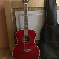 Chitarra Acustica Eko NTX A100