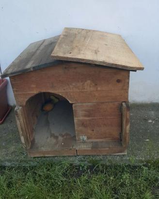 Cuccia per cane