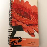 Catalogo guida fiori recisi