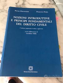 Libro Universitario Diritto Civile Perlingieri