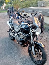 hornet 600