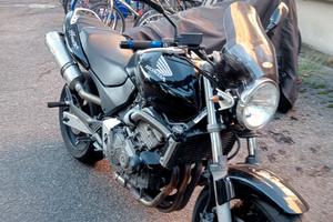 hornet 600