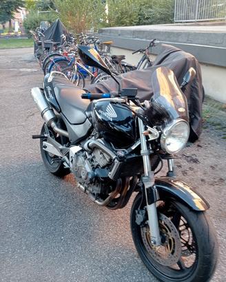 hornet 600