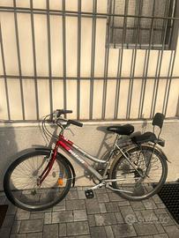 Bicicletta da donna
