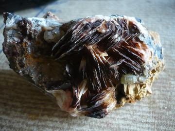 Barite per collezionisti