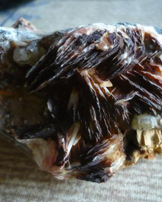 Barite per collezionisti