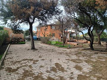 CASA SEMINDIPENDENTE A SORSO