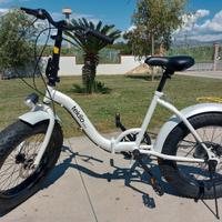 Bicicletta TEKLIO