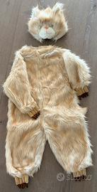 Vestito da ARISTOGATTO