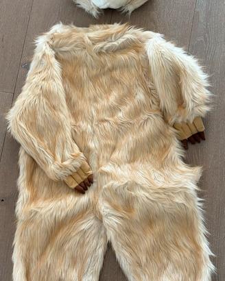Vestito da ARISTOGATTO