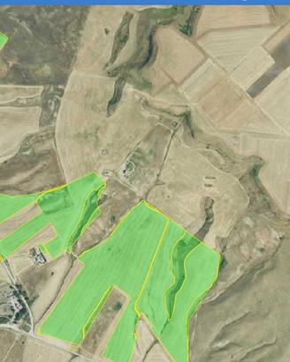 Azienda Agricola a Gravina in Puglia