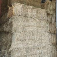 Fieno di qualità annata 2025