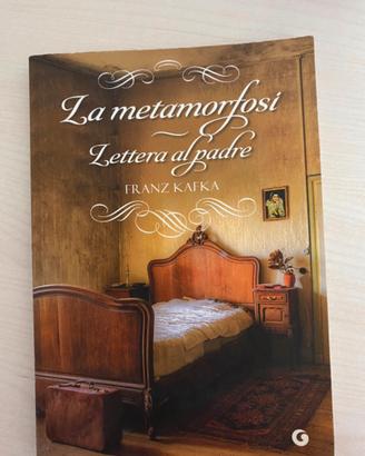 la metamorfosi lettera al padre