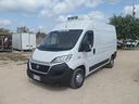 fiat-ducato-frigo-coibentato-medio-alto