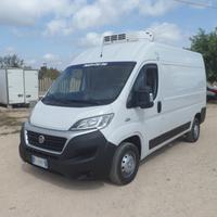 Fiat Ducato frigo coibentato medio alto