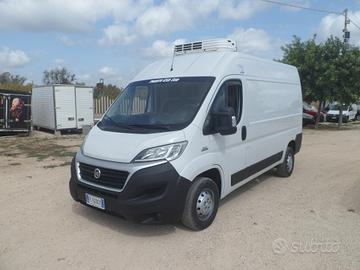 Fiat Ducato frigo coibentato medio alto
