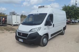 Fiat Ducato frigo coibentato medio alto